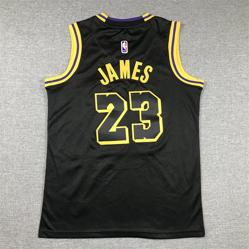 Youth LeBron James Los Angeles Lakers #23 City Edition Embroidered Jersey