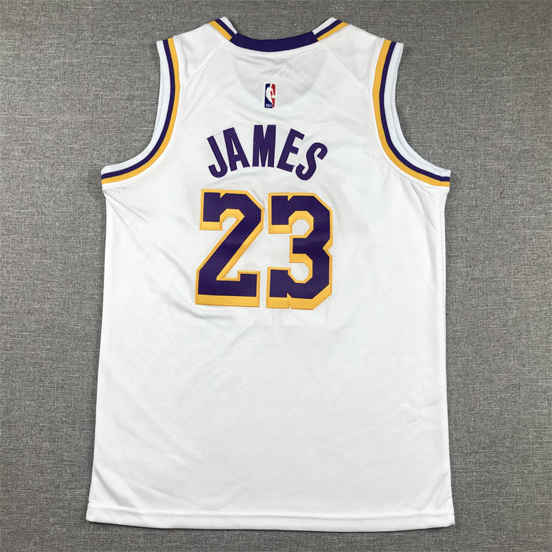 Youth LeBron James Los Angeles Lakers #23 Embroidered Jersey
