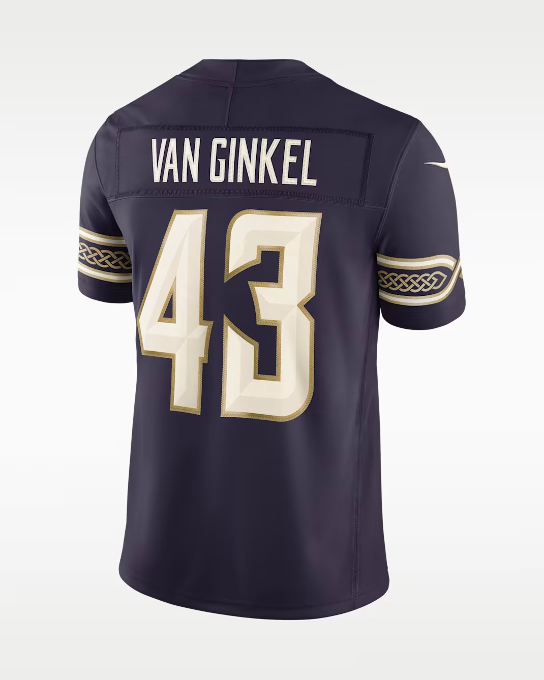 Men's Andrew Van Ginkel #43 Minnesota Vikings Rivalries Collection Limited Jersey