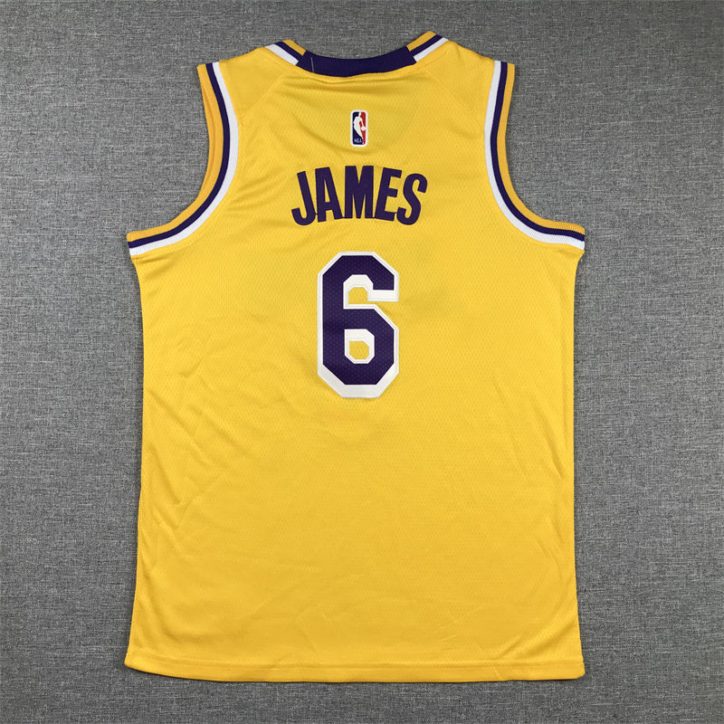 Youth LeBron James Los Angeles Lakers #6 Embroidered Jersey