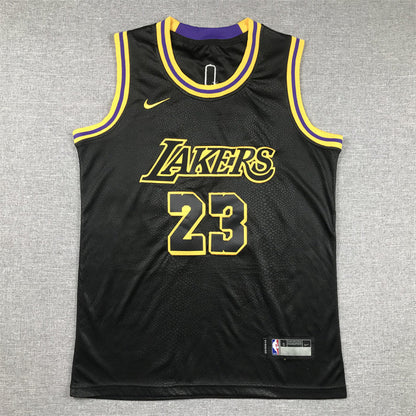 Youth LeBron James Los Angeles Lakers #23 City Edition Embroidered  Jersey