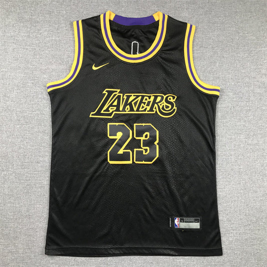 Youth LeBron James Los Angeles Lakers #23 City Edition Embroidered  Jersey