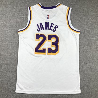 Youth LeBron James Los Angeles Lakers #23  Embroidered  Jersey