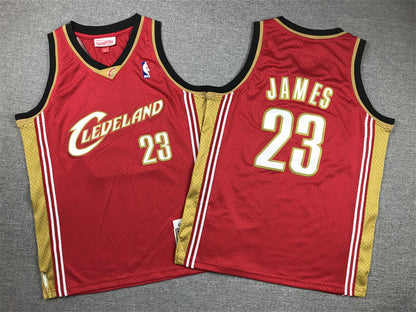 Youth LeBron James Cleveland Cavaliers #23 Embroidered  Jersey