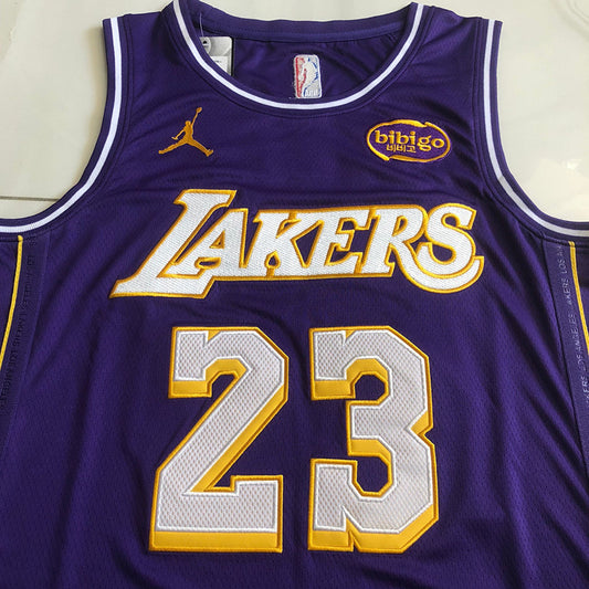 Los Angeles Lakers LeBron James #23 Purple Throwback Jersey - Dense Embroidery