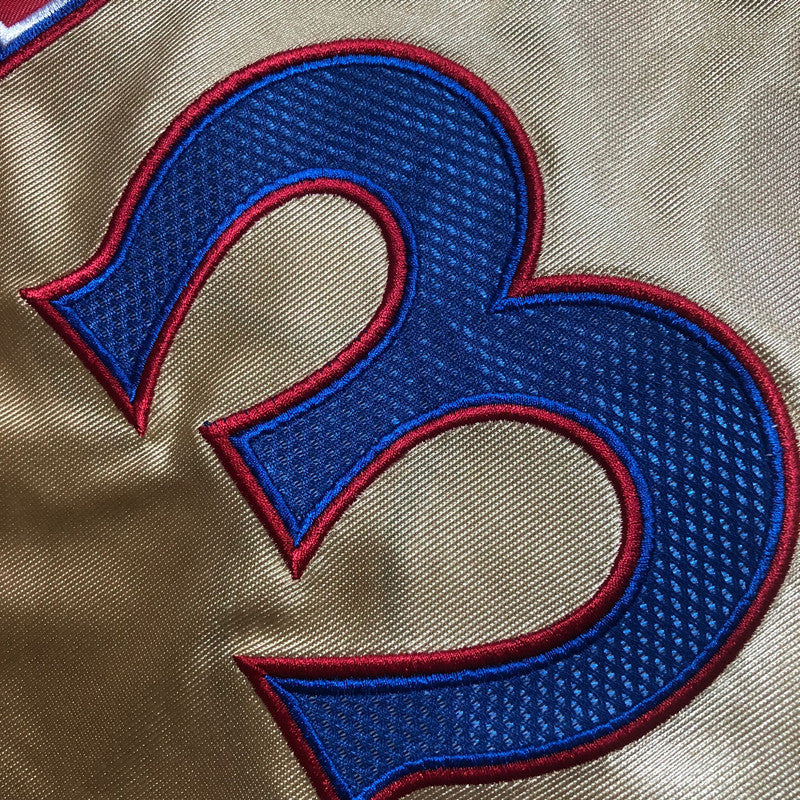 Philadelphia 76ers Allen Iverson #3 Platinum Edition Throwback Jersey - Dense Embroidery