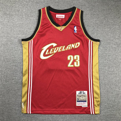 Youth LeBron James Cleveland Cavaliers #23 Embroidered  Jersey