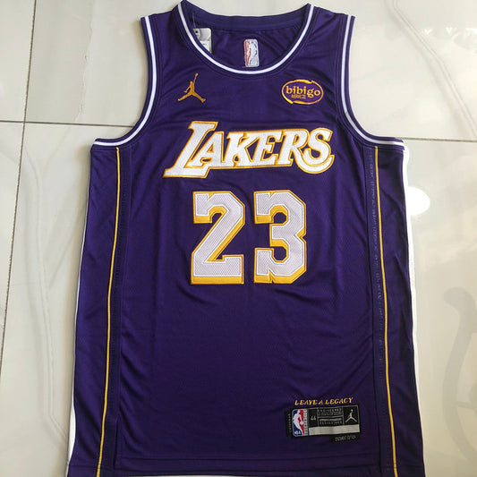 Los Angeles Lakers LeBron James #23 Purple Throwback Jersey - Dense Embroidery