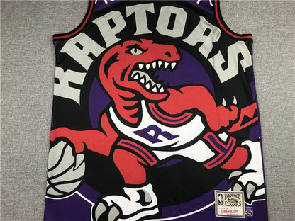 Toronto Raptors #1 MCGRADY Purple Jersey MN