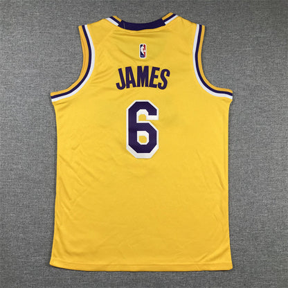 Youth LeBron James Los Angeles Lakers #6   Embroidered  Jersey